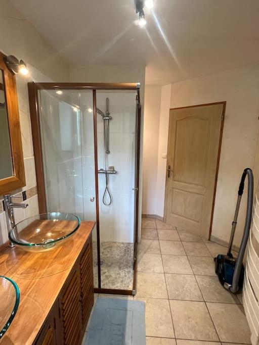 Appartement 5 Personnes Avec Espace Plein Air Saint-Maurice-sur-Moselle Eksteriør bilde