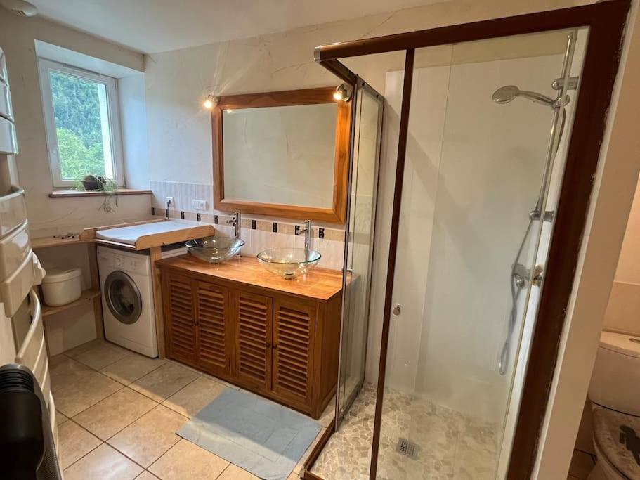 Appartement 5 Personnes Avec Espace Plein Air Saint-Maurice-sur-Moselle Eksteriør bilde