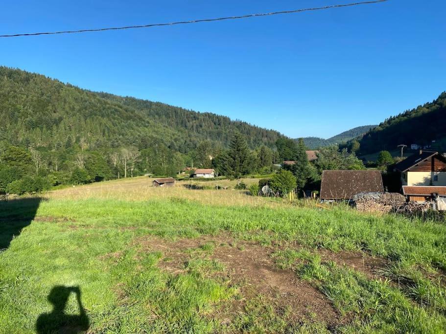 Appartement 5 Personnes Avec Espace Plein Air Saint-Maurice-sur-Moselle Eksteriør bilde