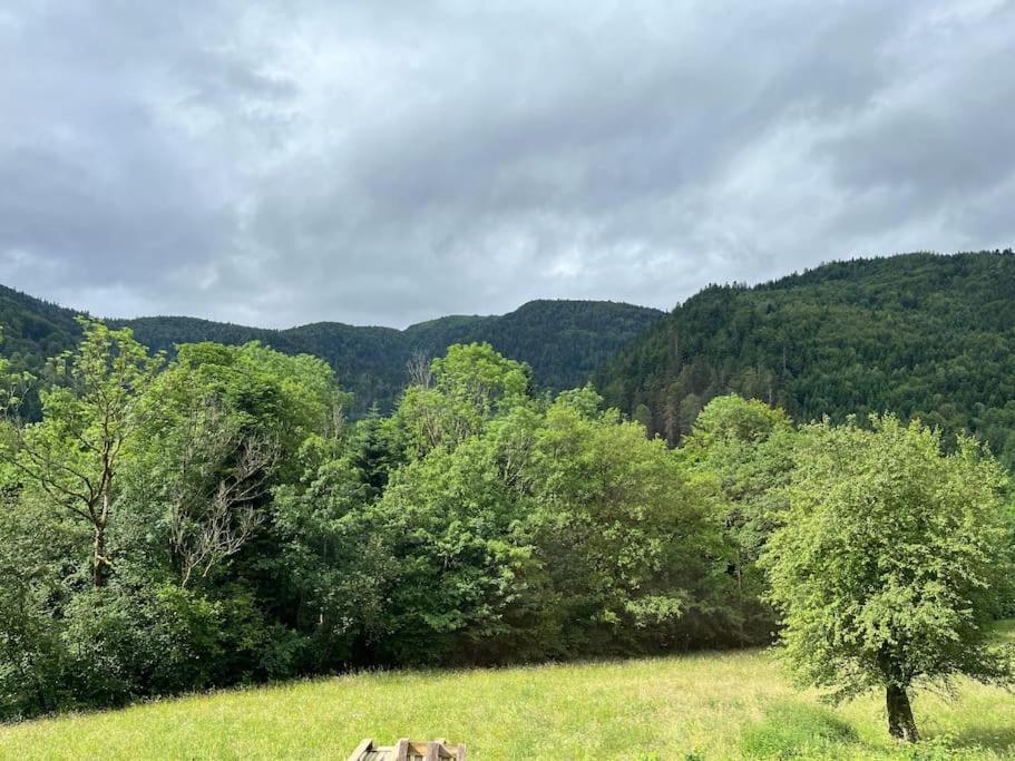 Appartement 5 Personnes Avec Espace Plein Air Saint-Maurice-sur-Moselle Eksteriør bilde