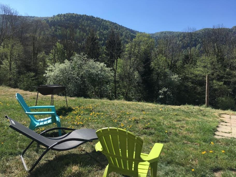 Appartement 5 Personnes Avec Espace Plein Air Saint-Maurice-sur-Moselle Eksteriør bilde
